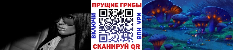 Галлюциногенные грибы Magic Shrooms  купить закладку  Киренск 